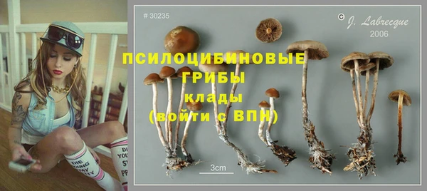 герыч Алзамай