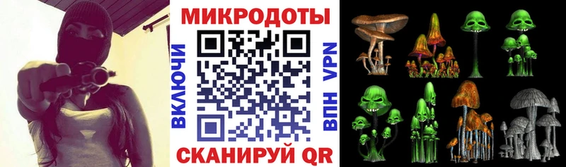 Галлюциногенные грибы Psilocybine cubensis  Евпатория 
