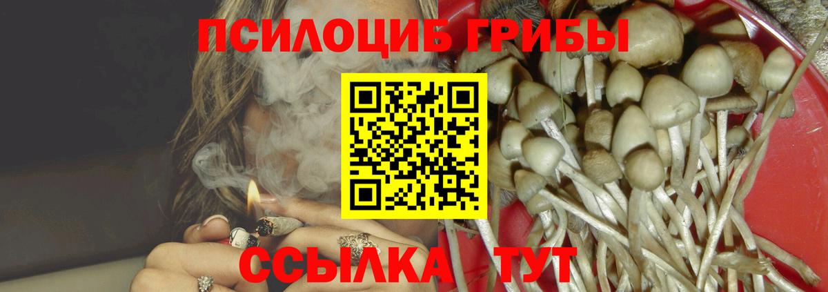 Галлюциногенные грибы ЛСД  Вход с VPN  Евпатория  Галлюциногенные грибы мицелий 